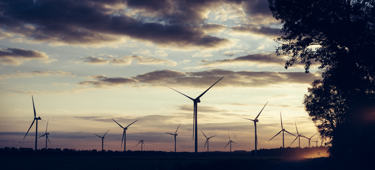 Windpark in der Abendsonne