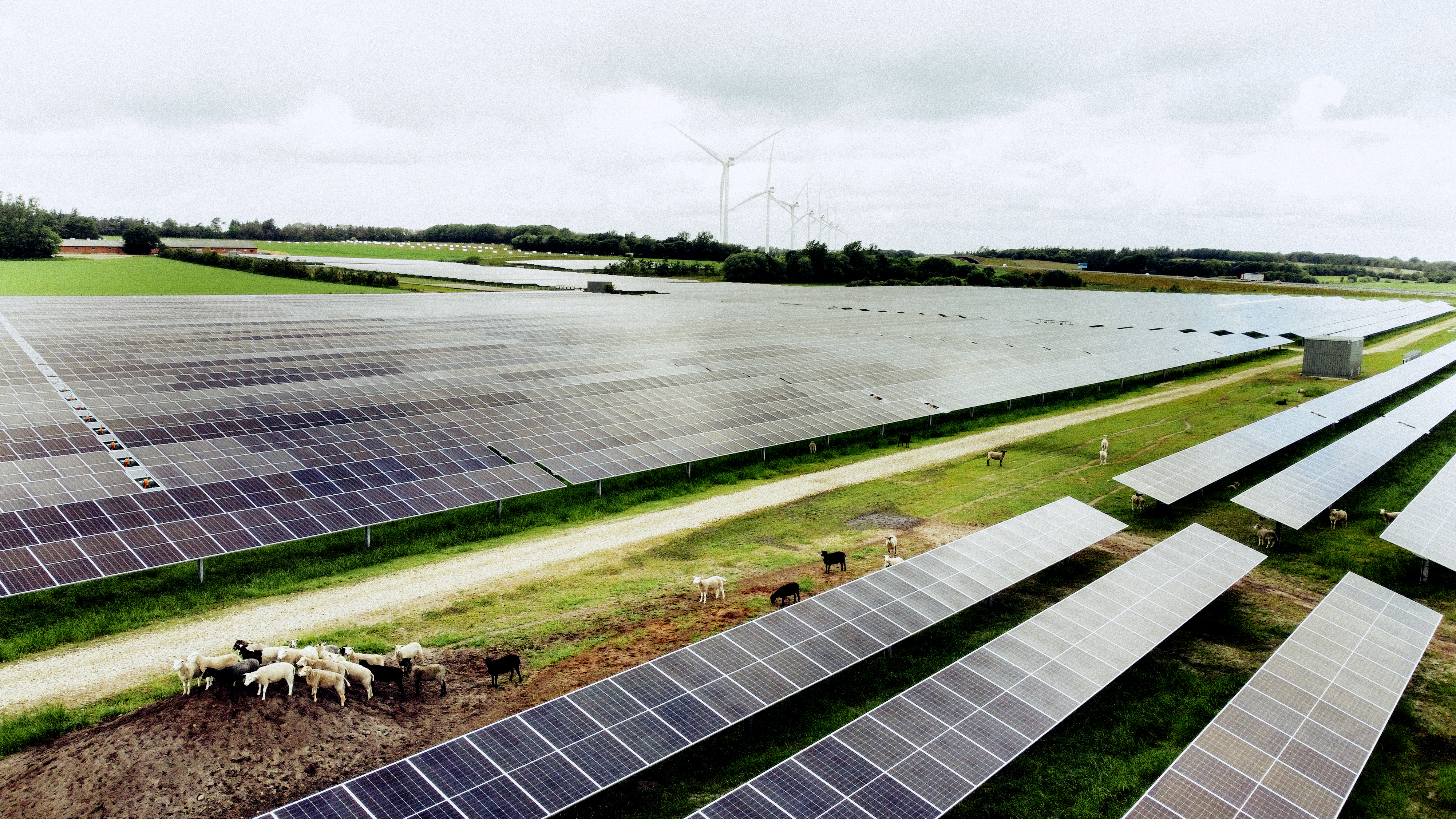 Desarrollo de proyectos