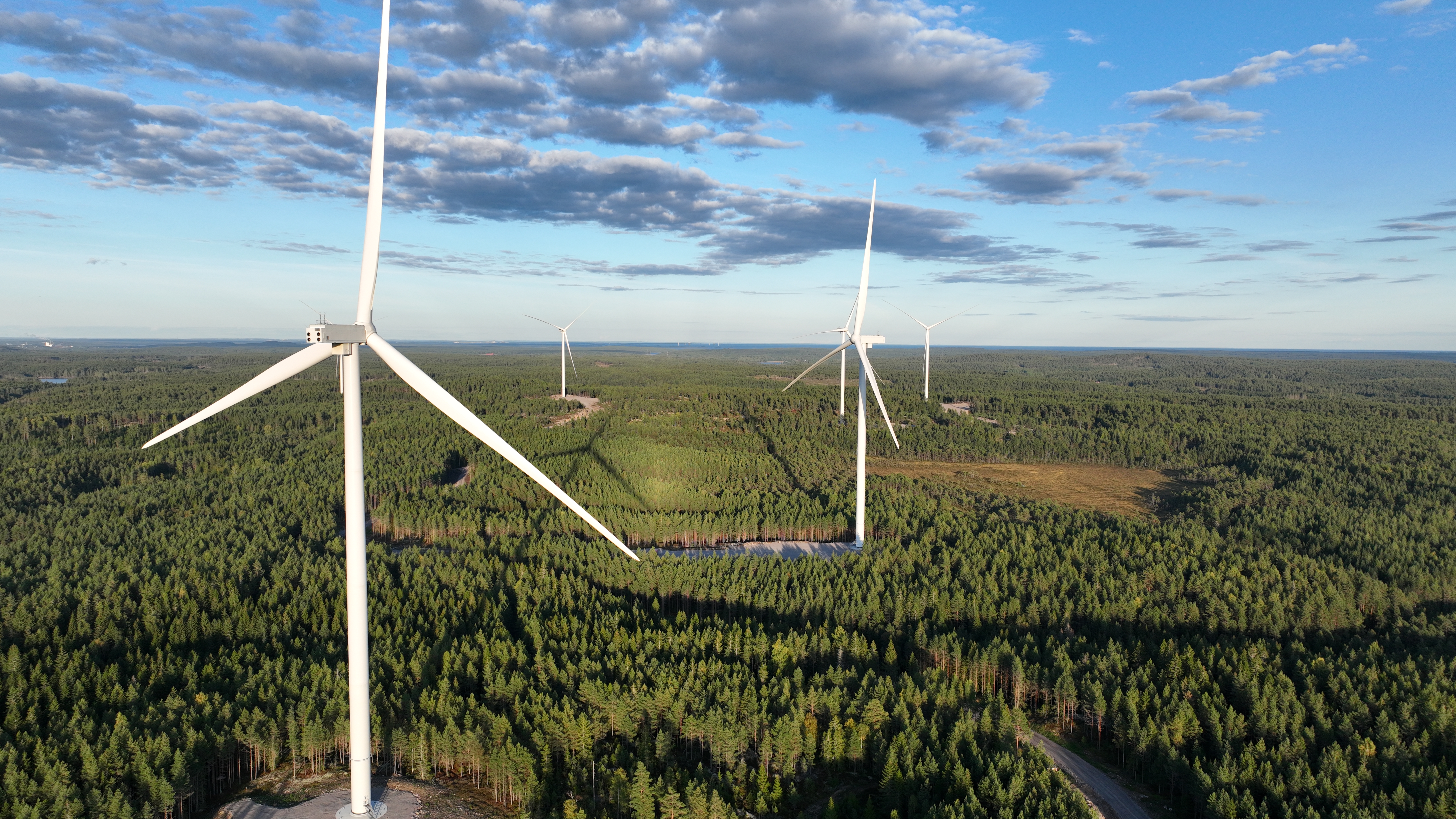 <p><span class="NormalTextRun SpellingErrorV2Themed SCXW165946231 BCX8">korduma kippuvad küsimused</span></p>