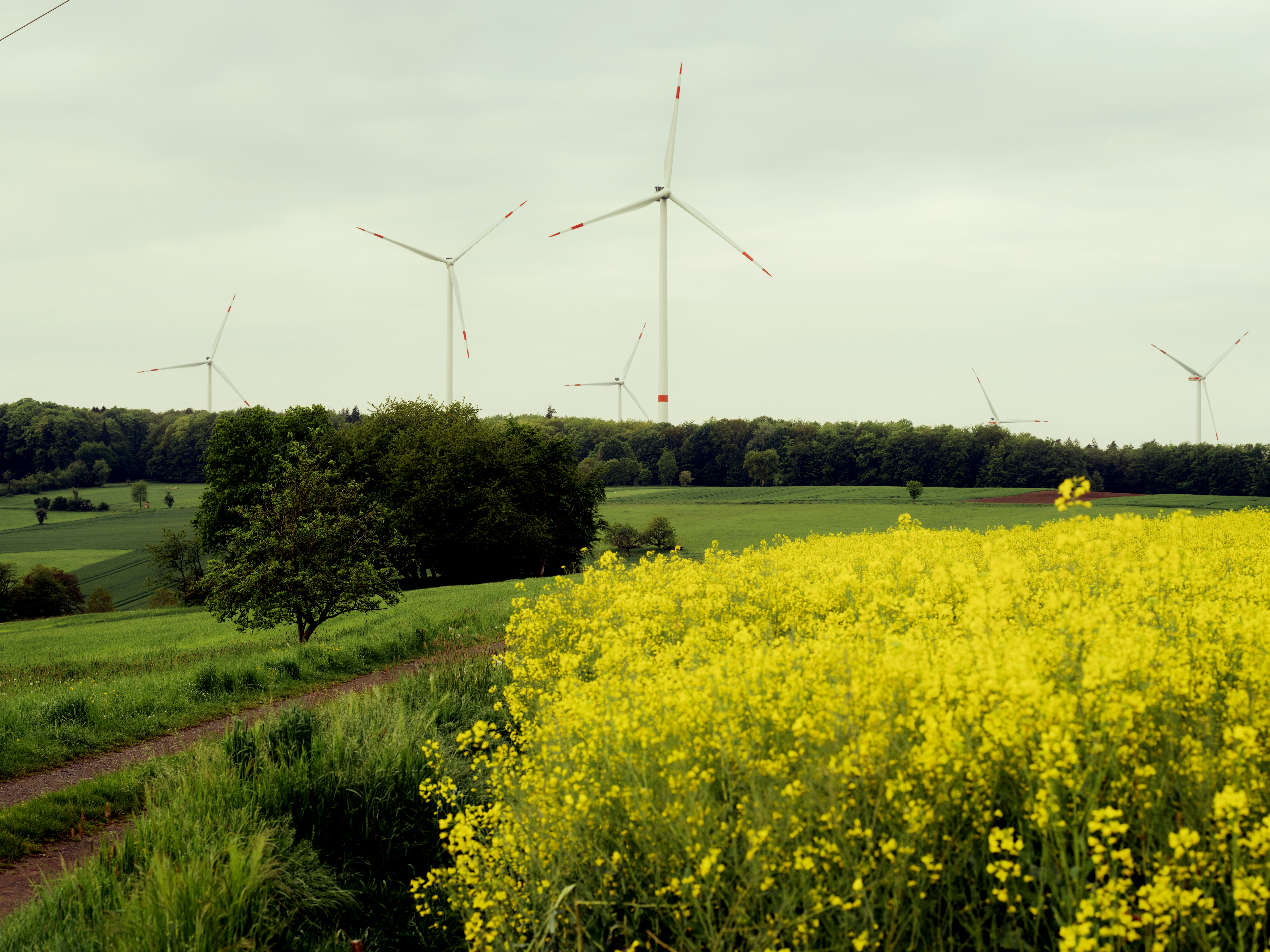 <p>Projekte in Deutschland</p>