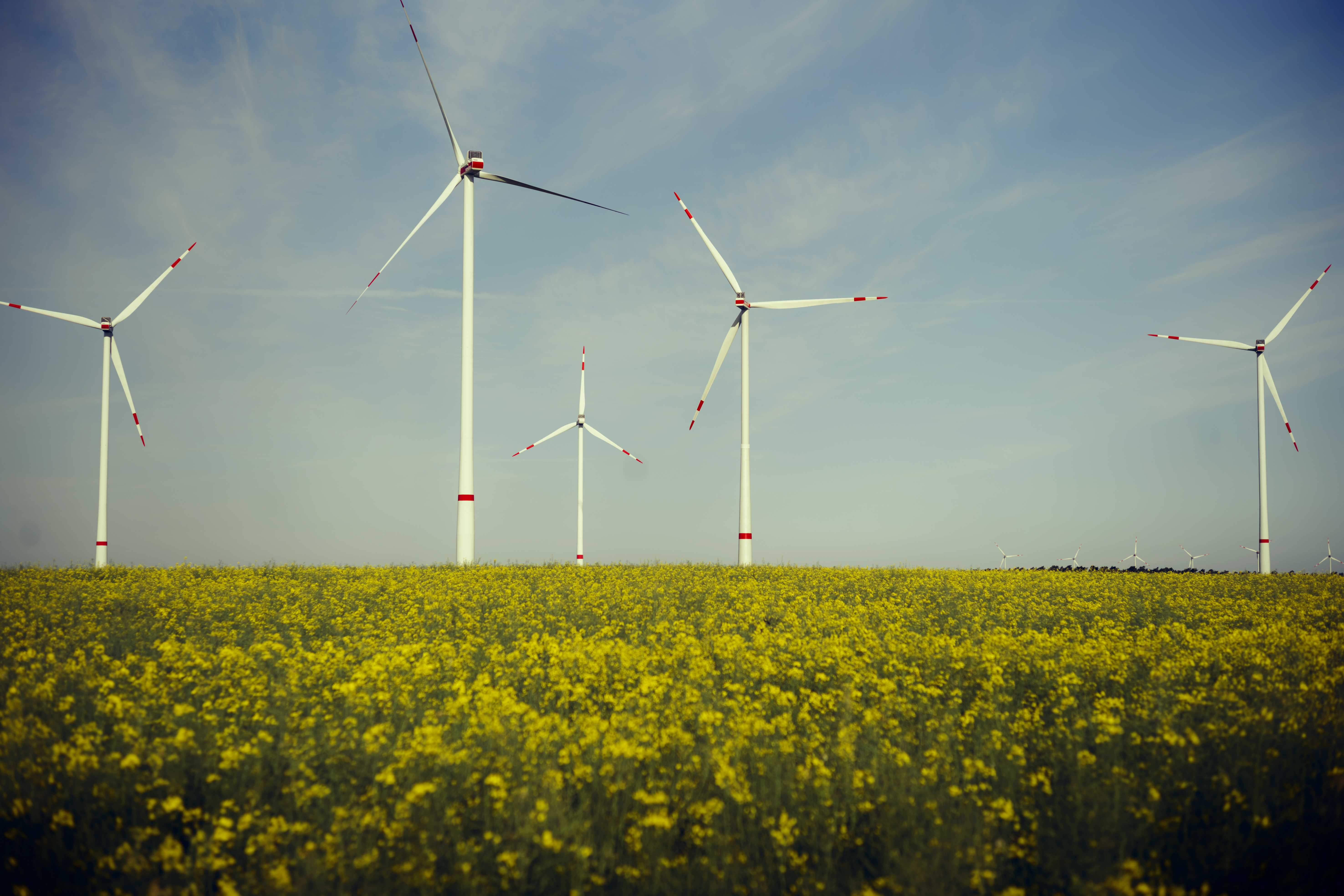 JBN EUROWIND KREVESE 00115