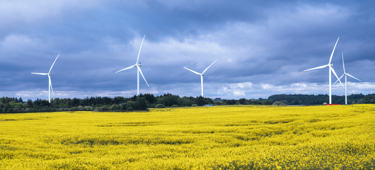 JBN HANDEST HEDE 03495