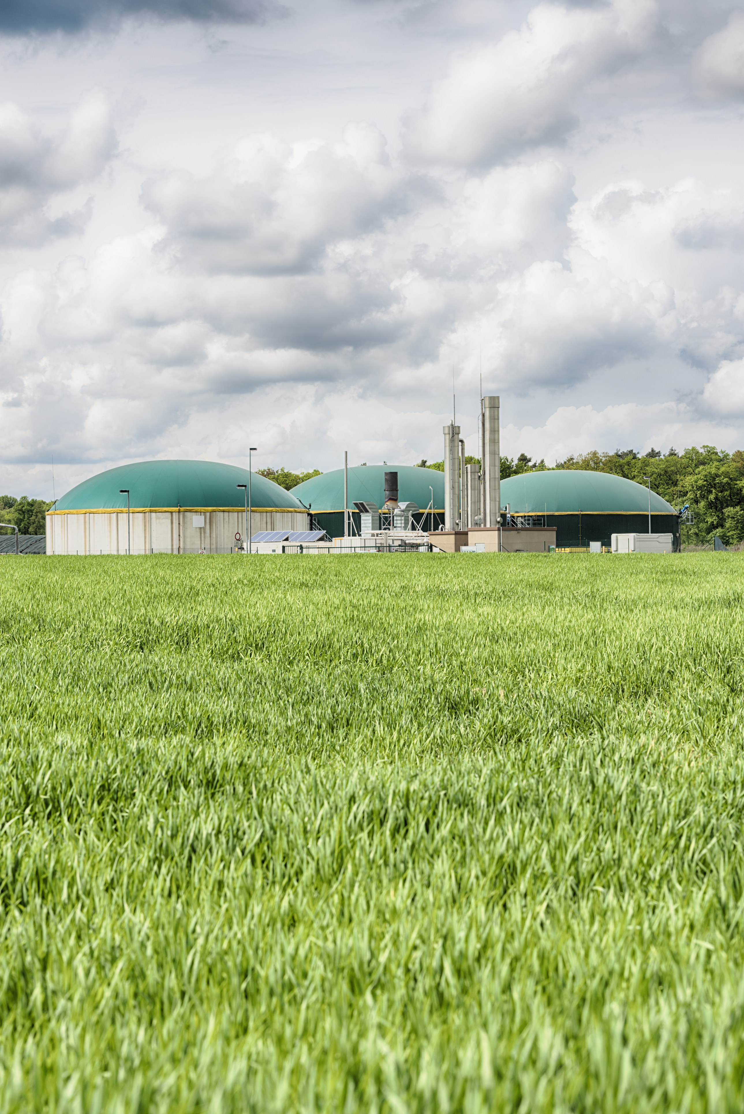 <p>Biogas</p>
