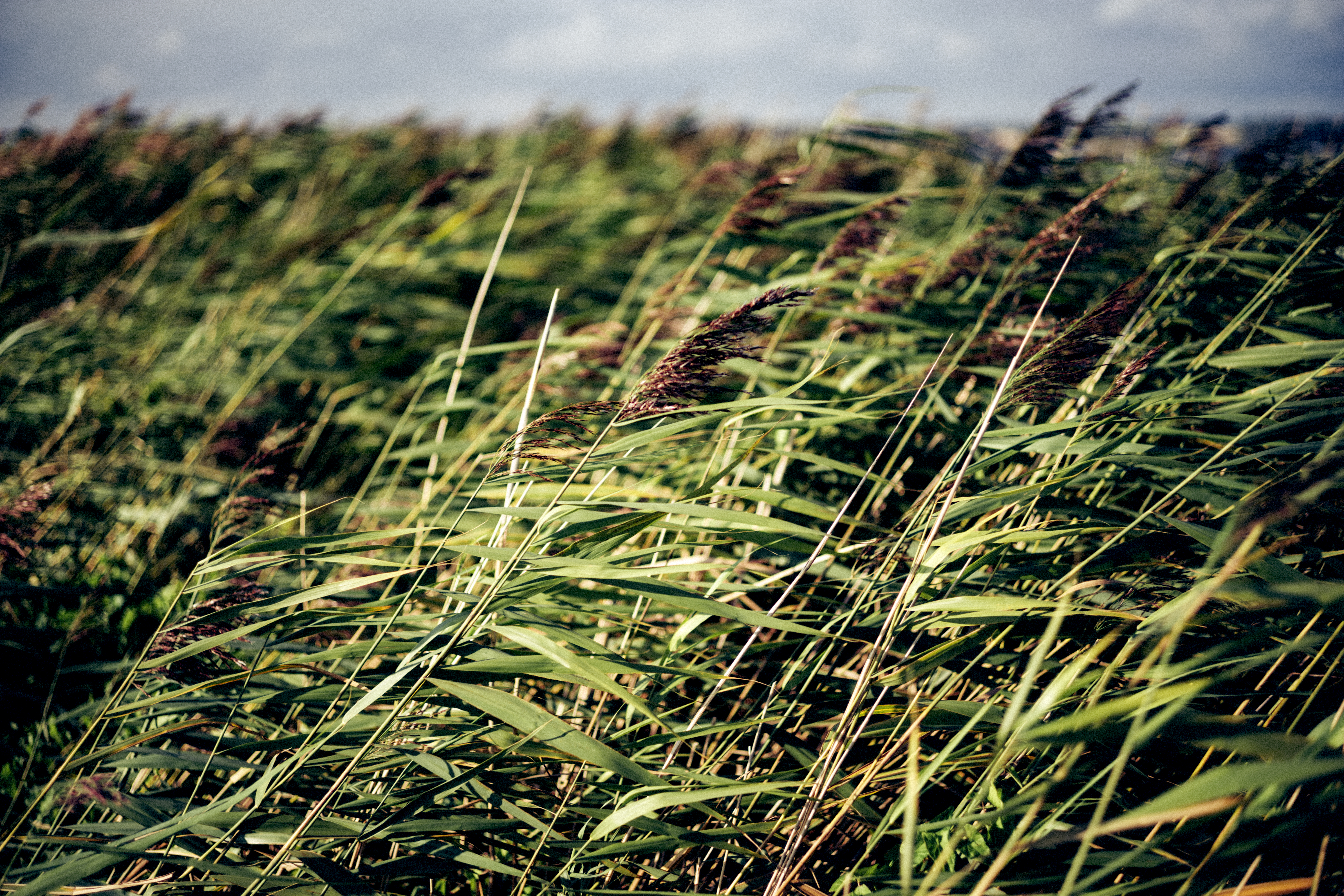 Investimenti in energie rinnovabili