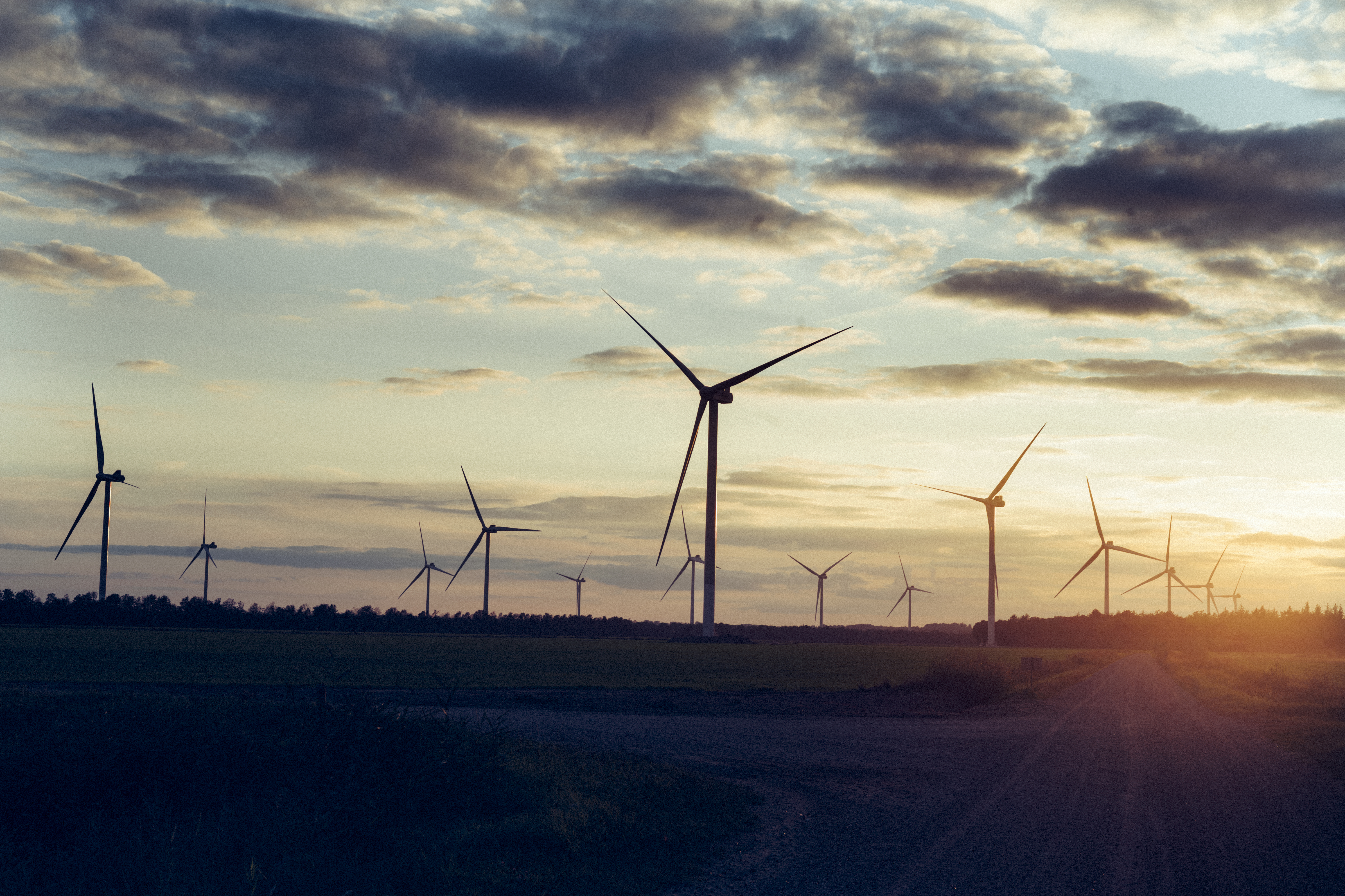 Financial statements