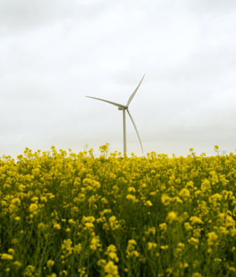 JBN MARSVINLUND 03367