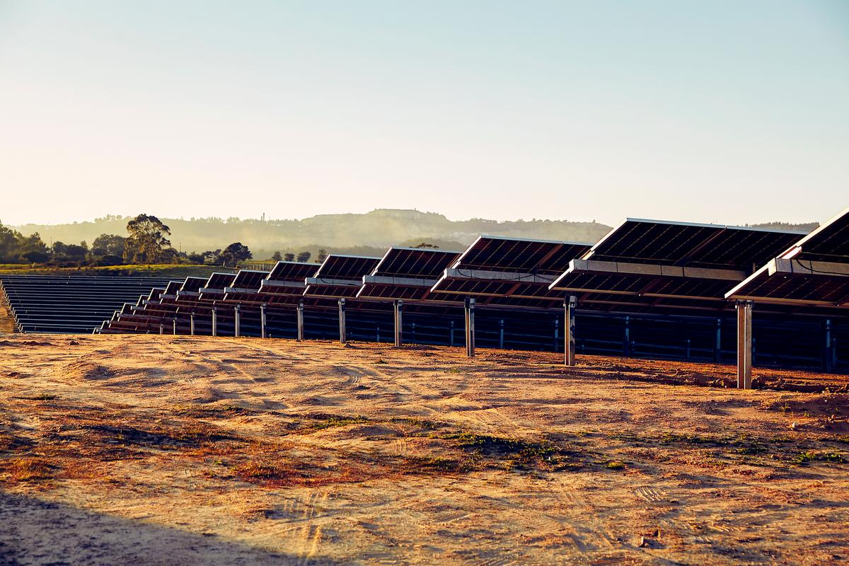 Explore Our Portuguese Office: Meet the Team and Discover Our Solar PV Parks