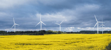 JBN HANDEST HEDE 03490