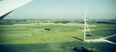 JBN GREENLAB 2 00619