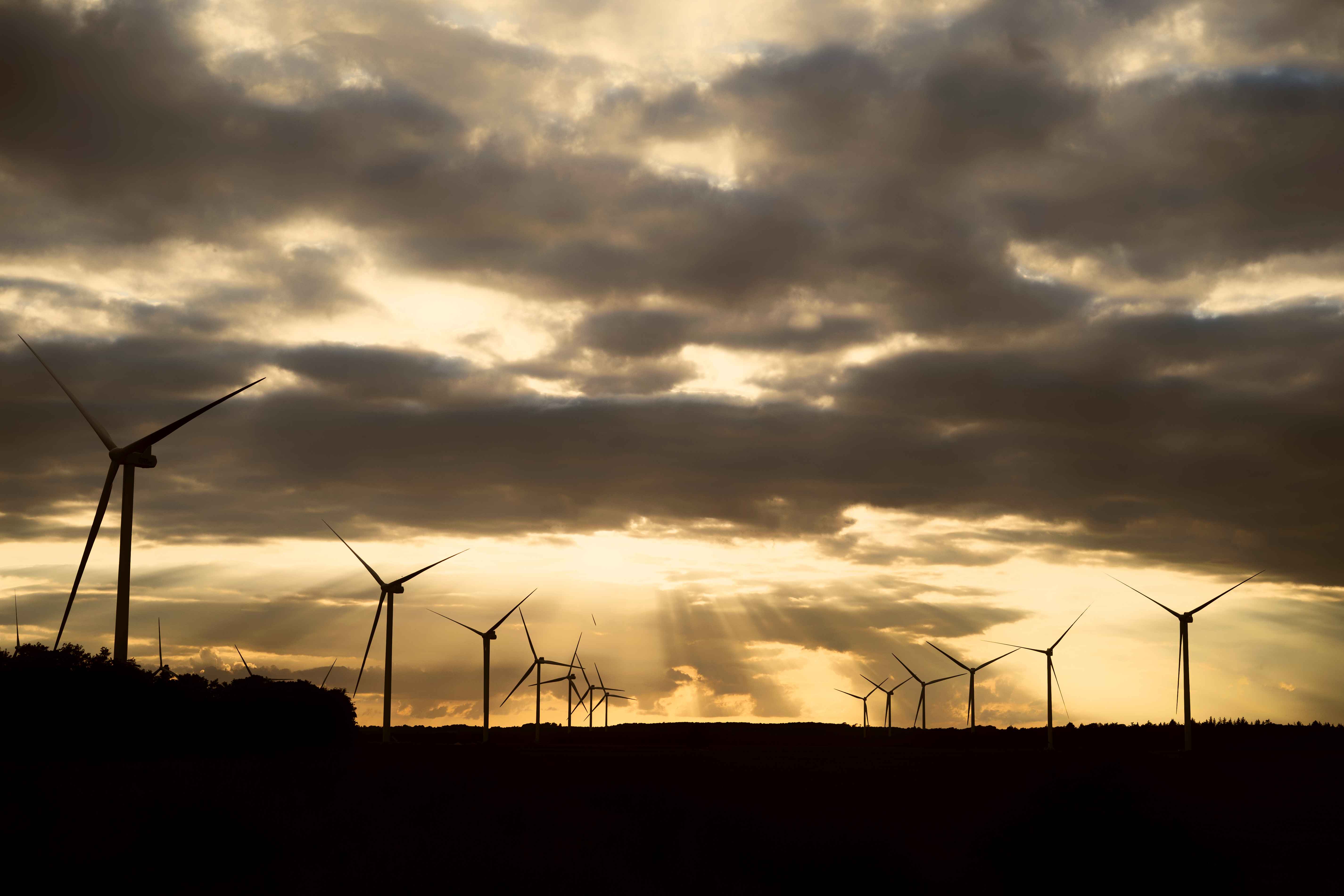 <p>Whistleblower scheme</p>